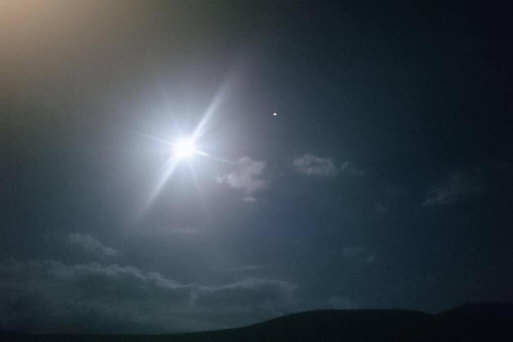 Skellig View Bluebell Rose & The Kerry Cliffs