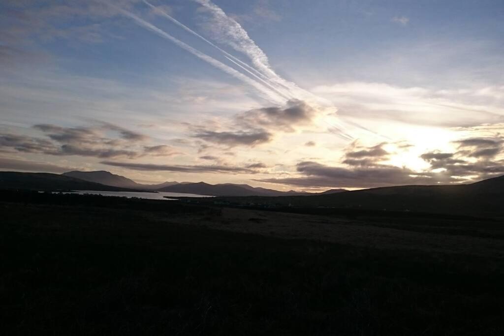 Skellig View Bluebell Rose & The Kerry Cliffs