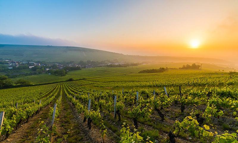 Maison Coeur de Sancerre