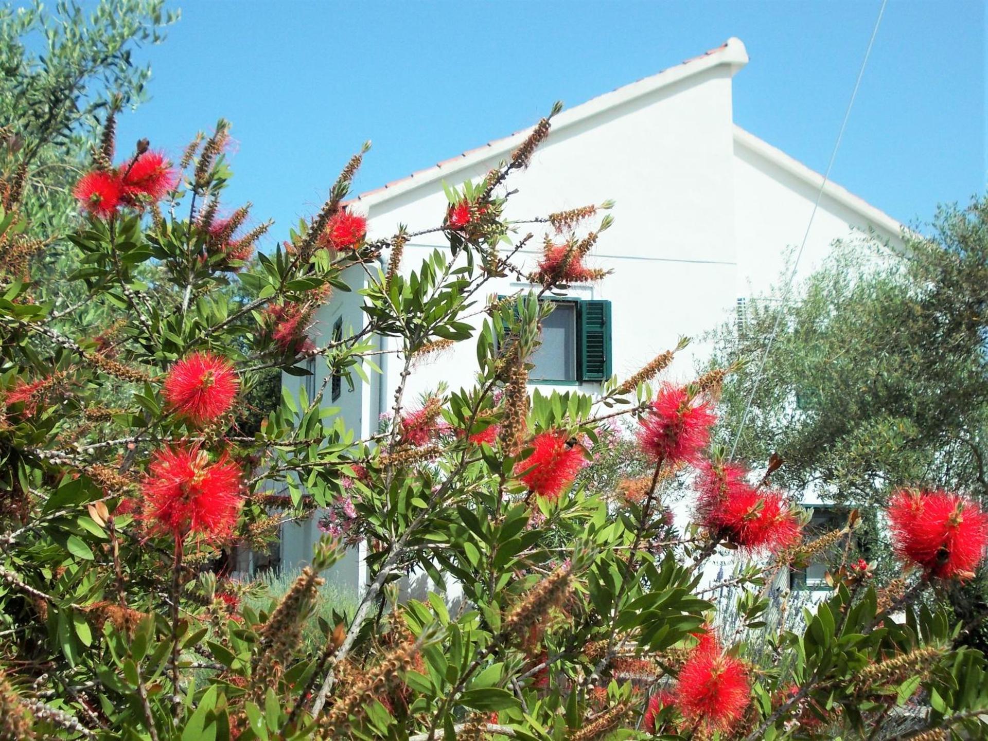 Rustic Holiday Home Miketa