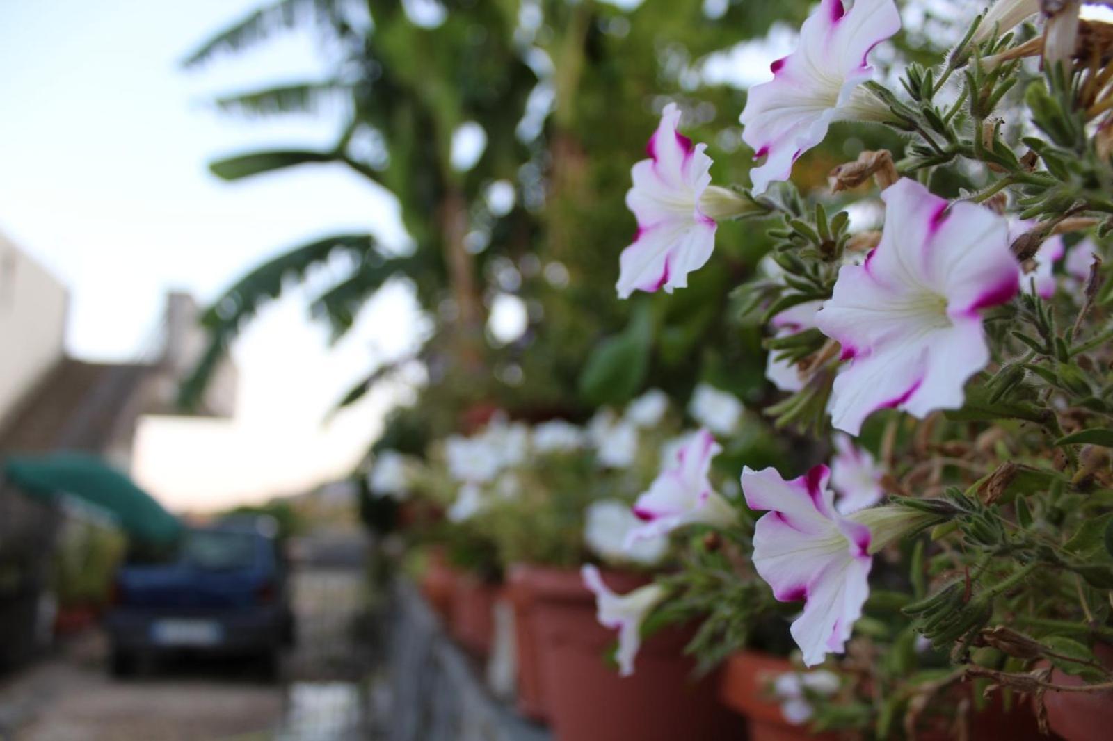 Il Belvedere vicino Taormina