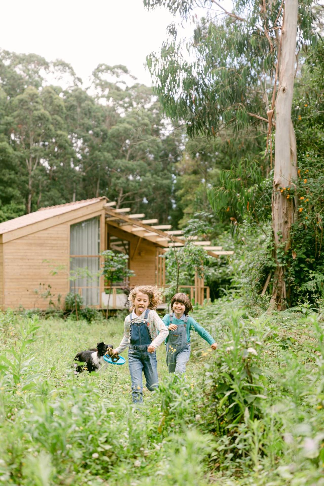 Children play ground