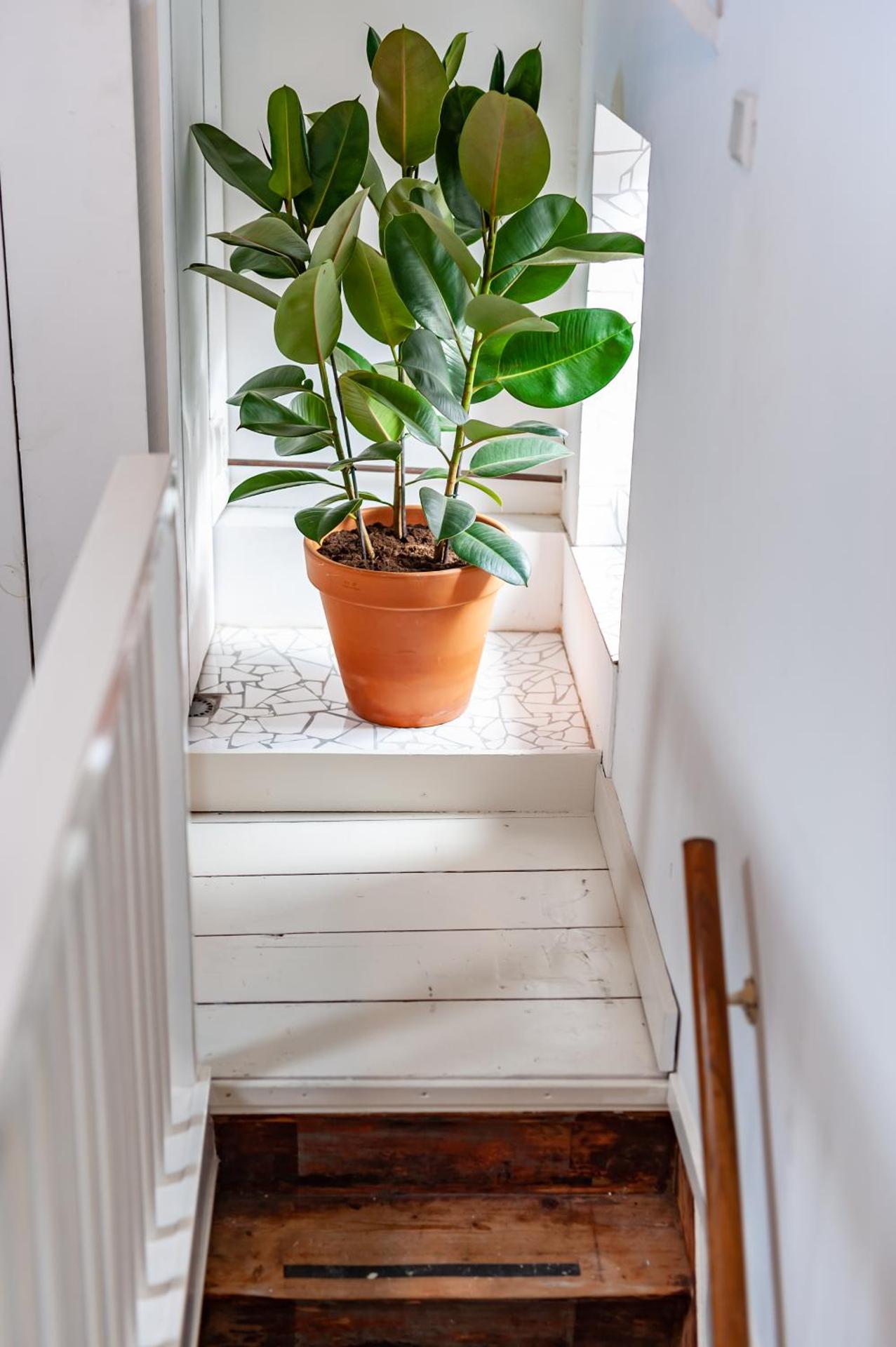 Unieke stadswoning met jacuzzi en sauna max 8 pers