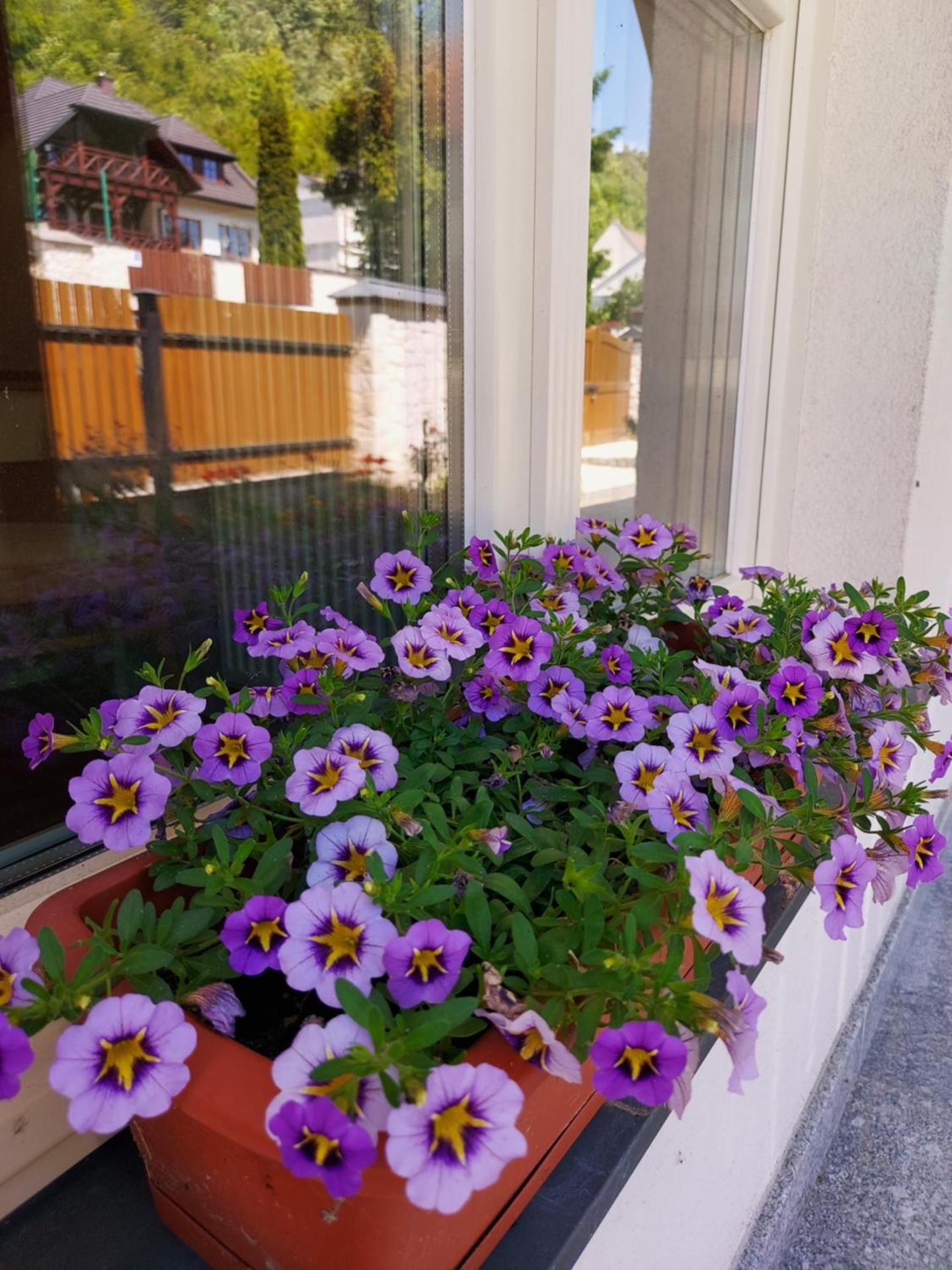 Biały Dom Kazimierski