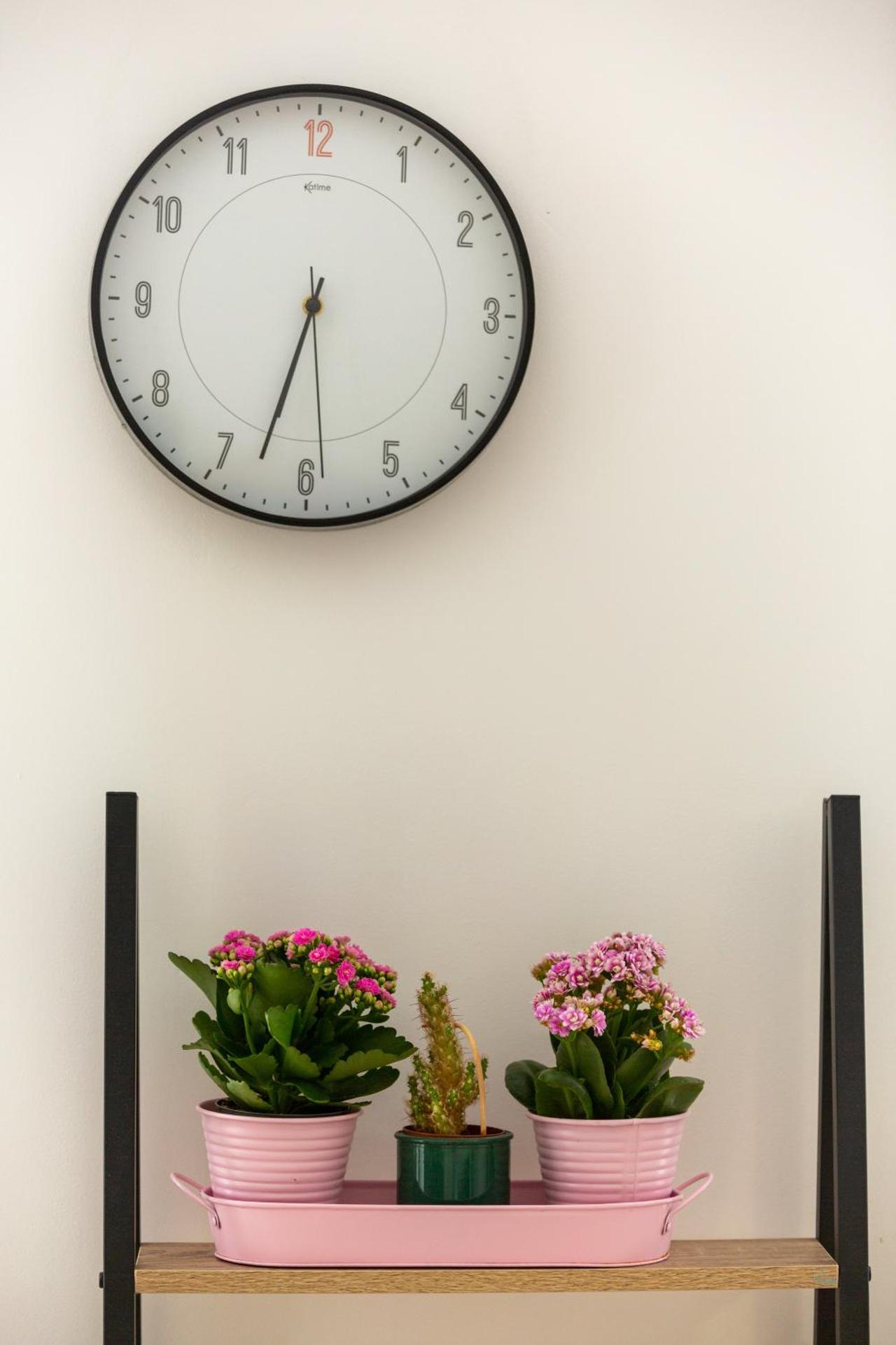 Appartement cocooning avec vue sur les Pyrénées