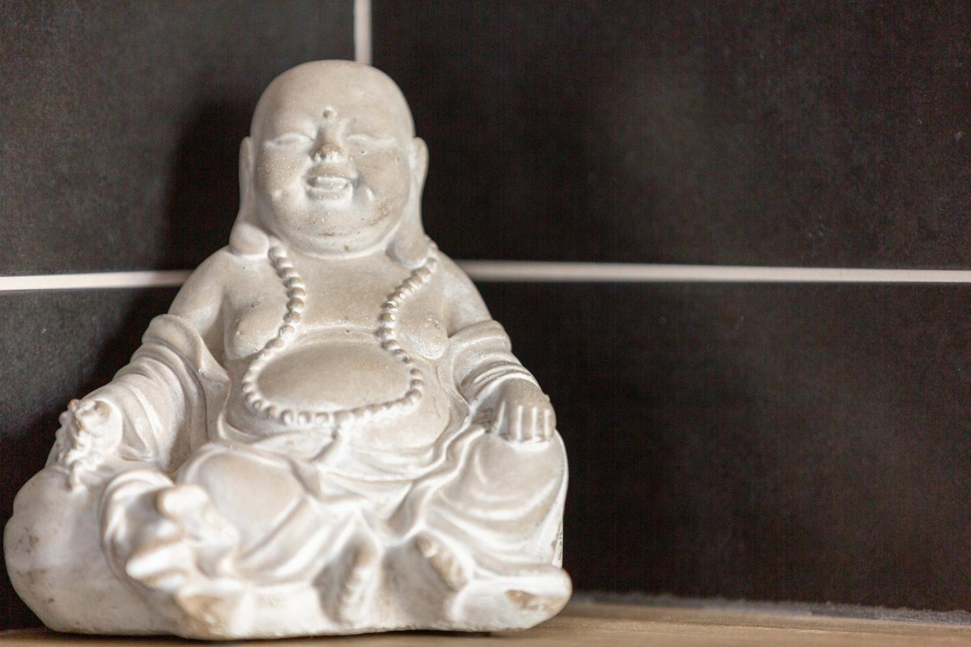 Appartement cocooning avec vue sur les Pyrénées