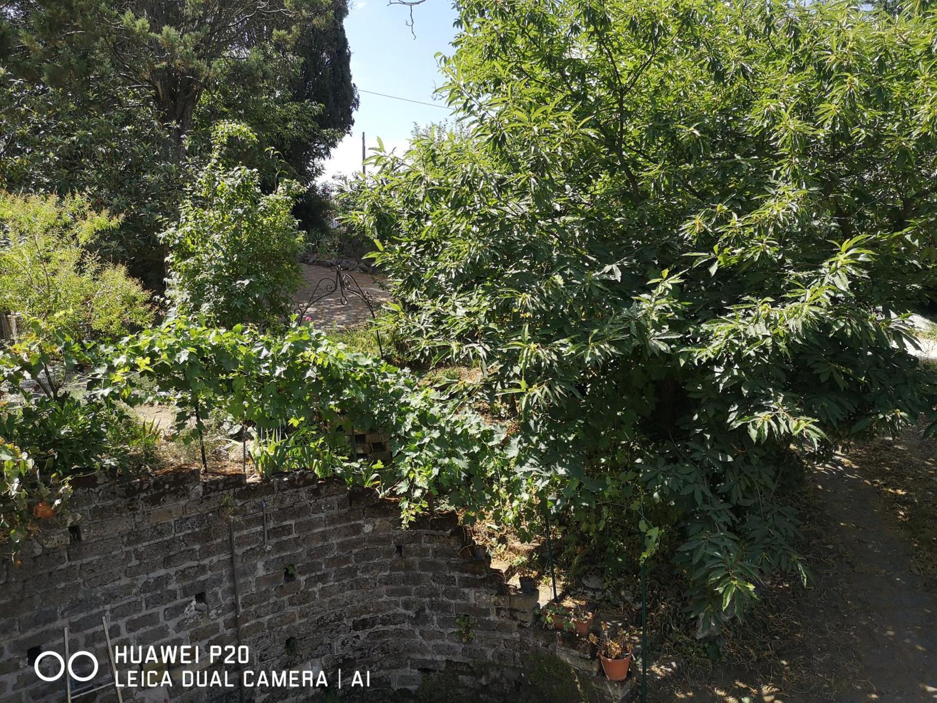 Ape Regina agriturismo 2 Montelarco