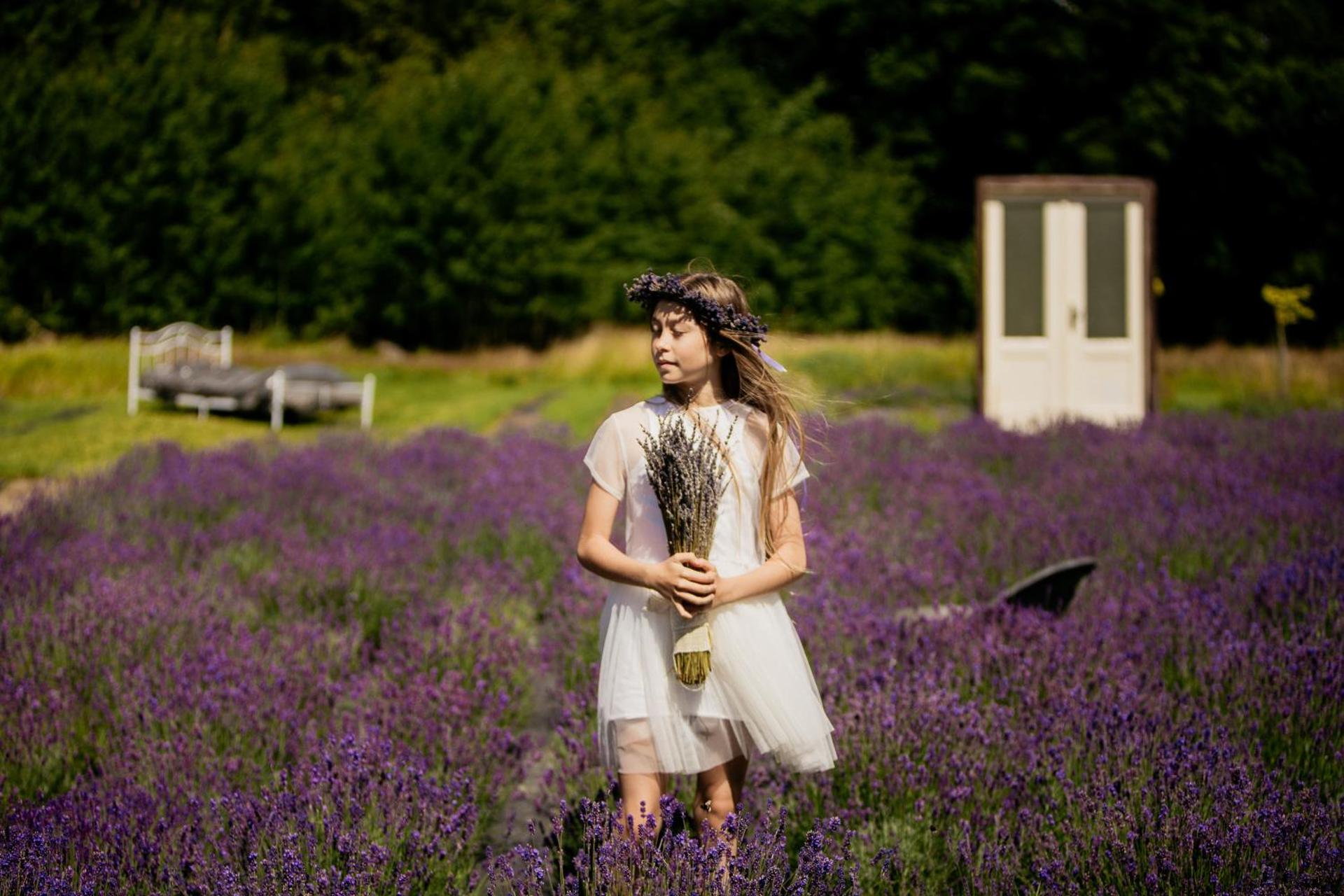 Wilcze Pole - tu odpoczniesz od świata