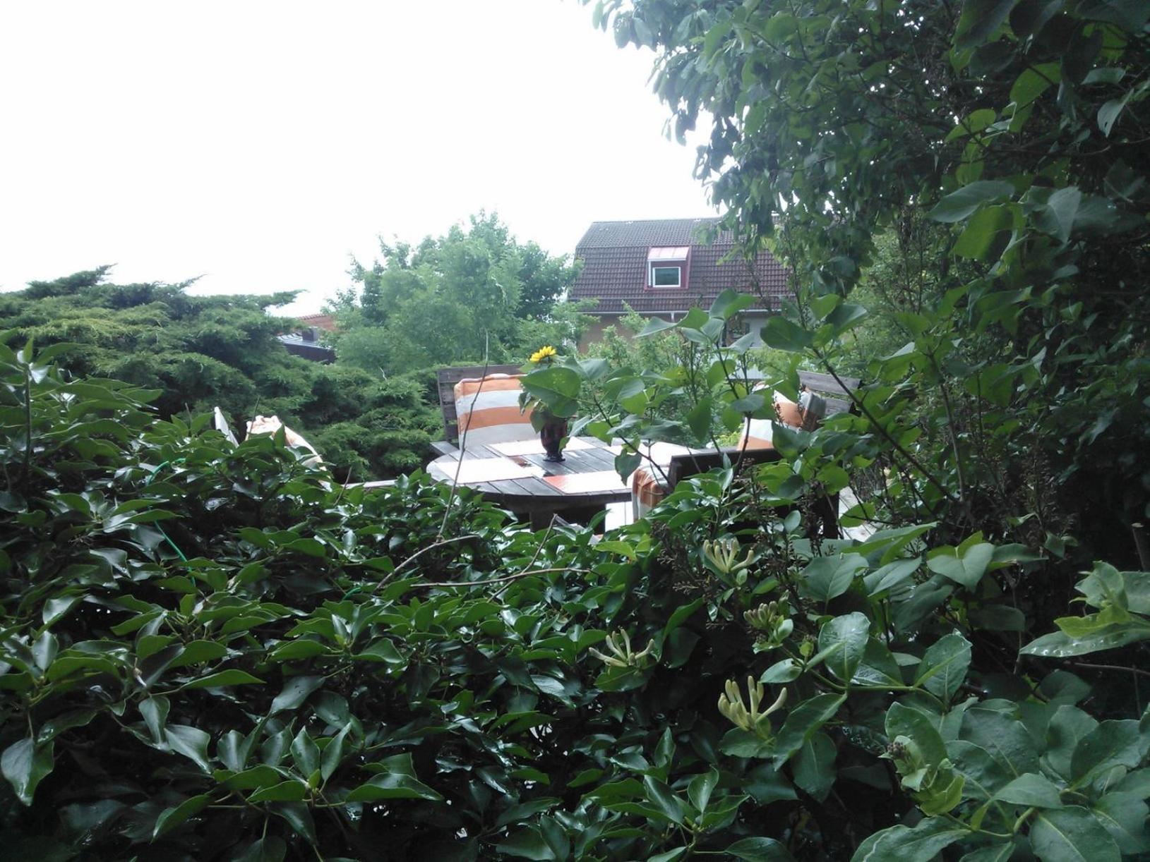 Boende med fri utsikt över Mölle by hamn och Öresund