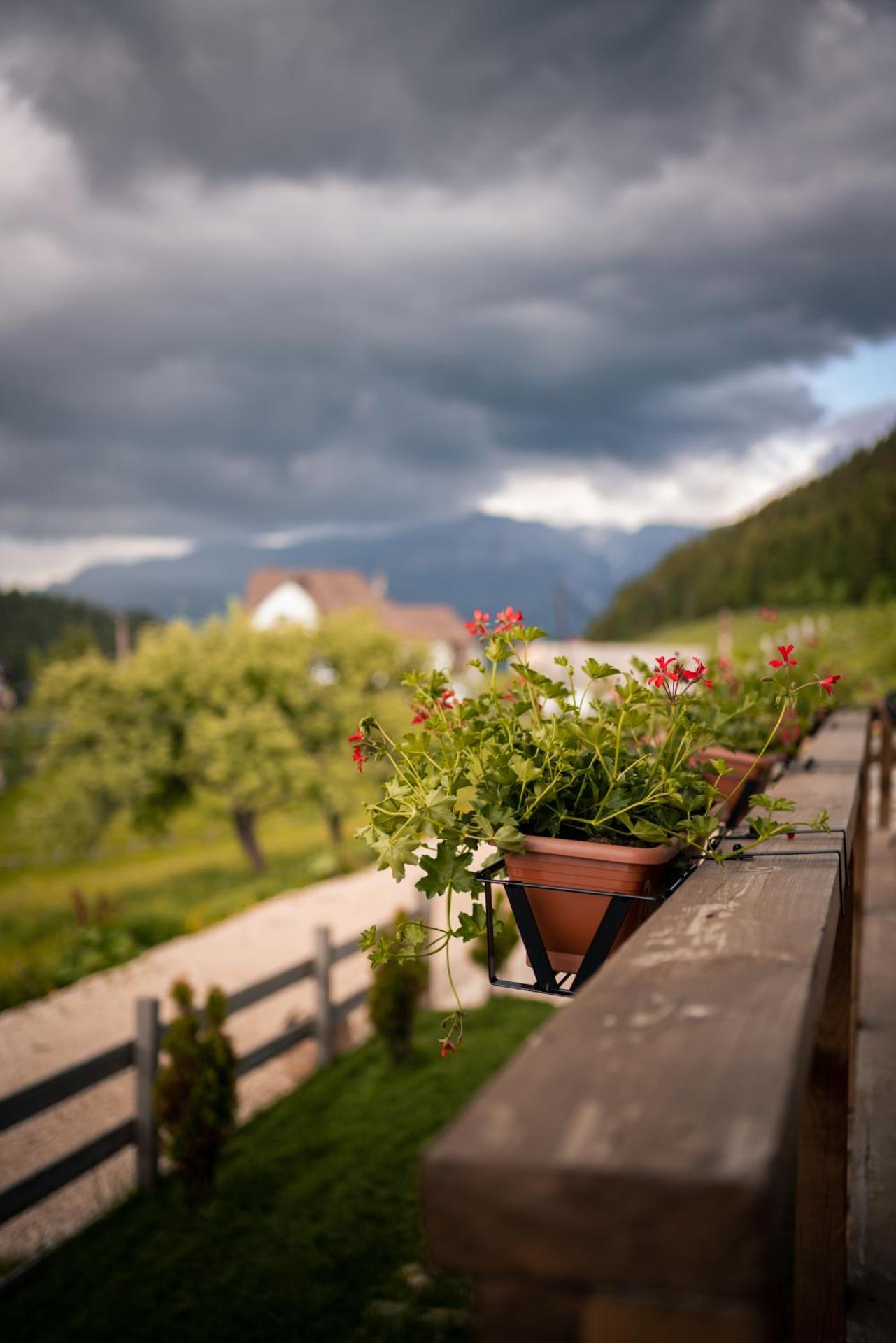 Casa de Sub Munte Fundata