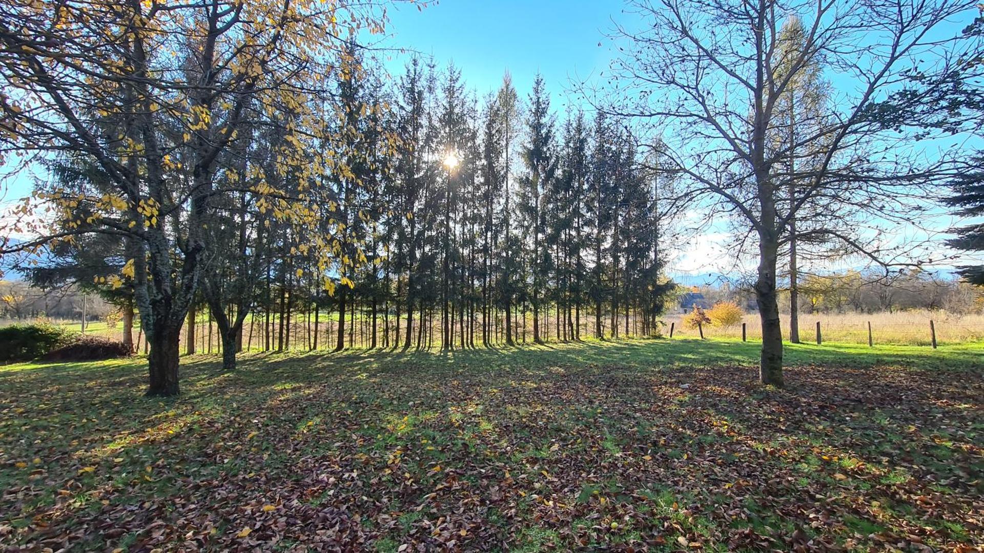 Forestside House Gacka with relax area