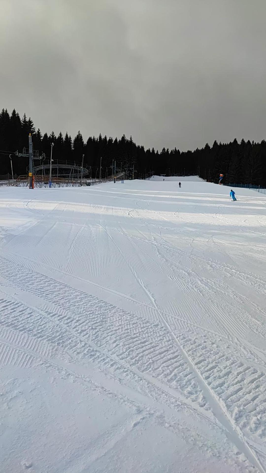 Biała Perła Sunny Mountain 103