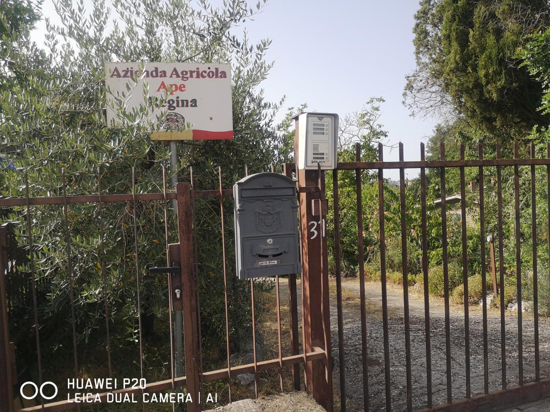 Ape Regina agriturismo 2 Montelarco