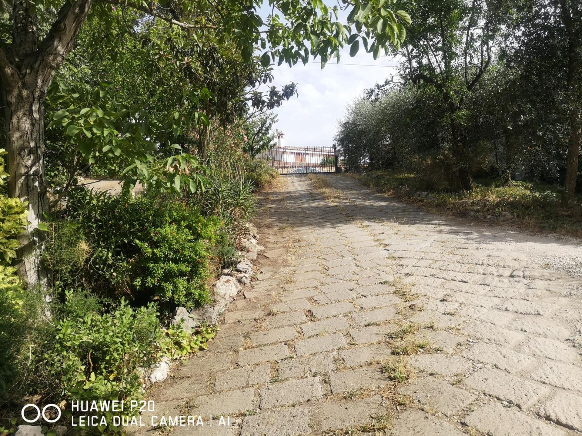 Ape Regina agriturismo 2 Montelarco