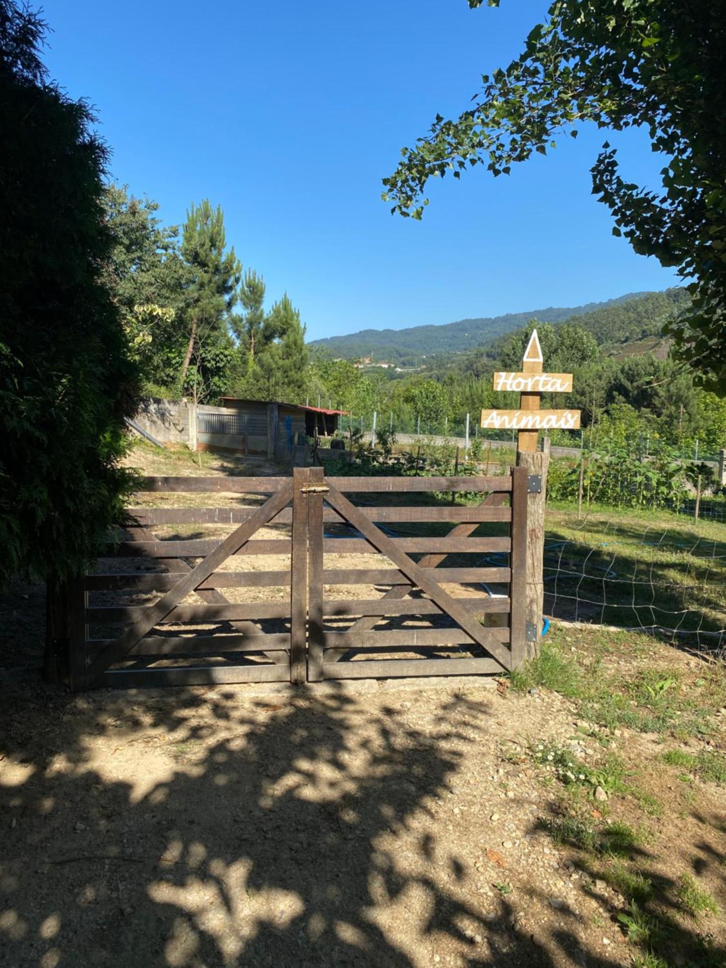 Quinta da Vinha do Souto