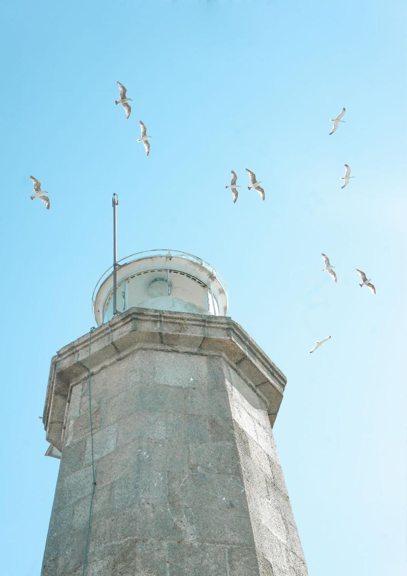 A Lobeira Grande by ALÔGA