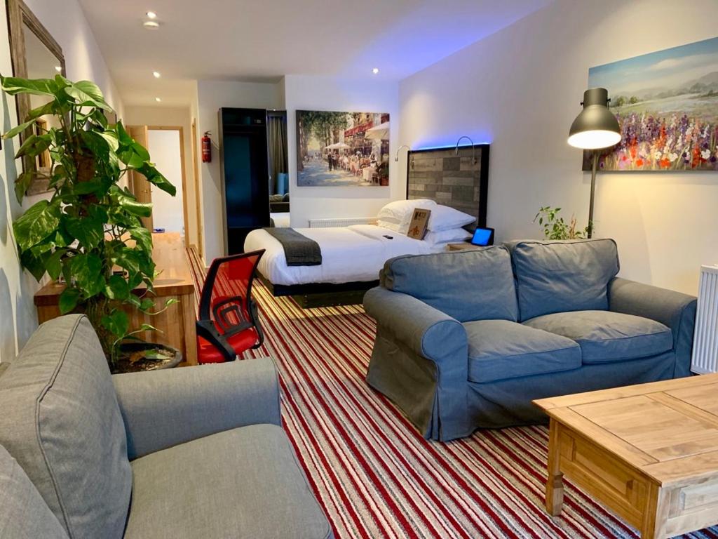 Photo of the whole room