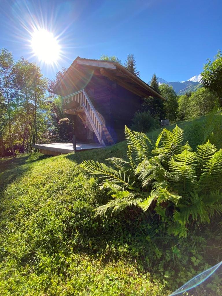 Chambres d'hôtes - B&B - Chalet Mountain Vibes