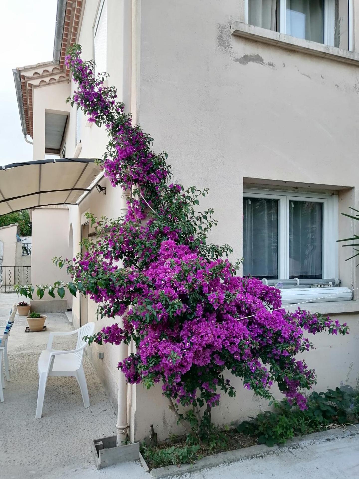 La maison de 6Fran appartement 2 chaleureux et calme ambiance familiale