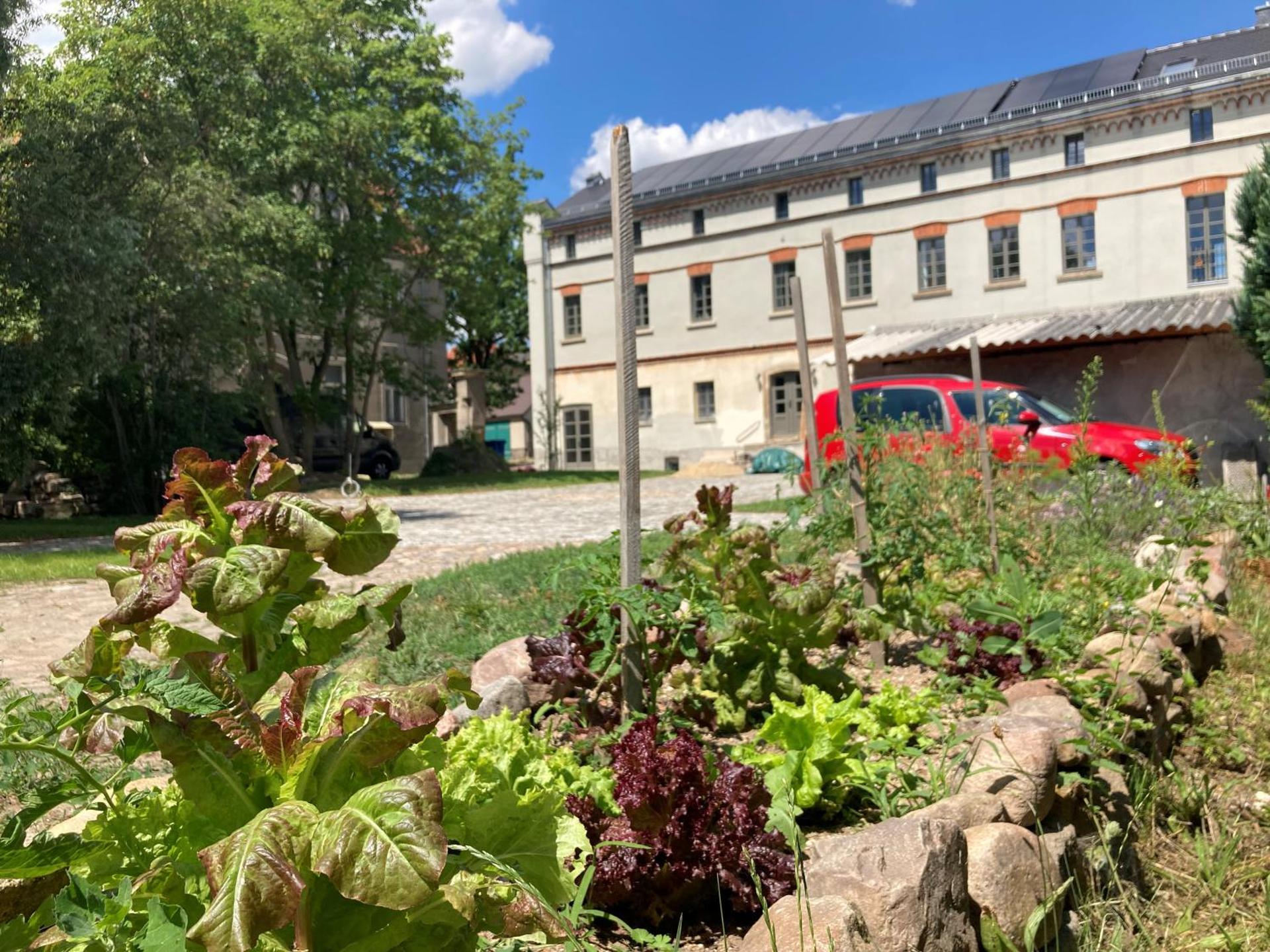 NEUES GESINDEHAUS (Rittergut Oelzschau b. Leipzig)
