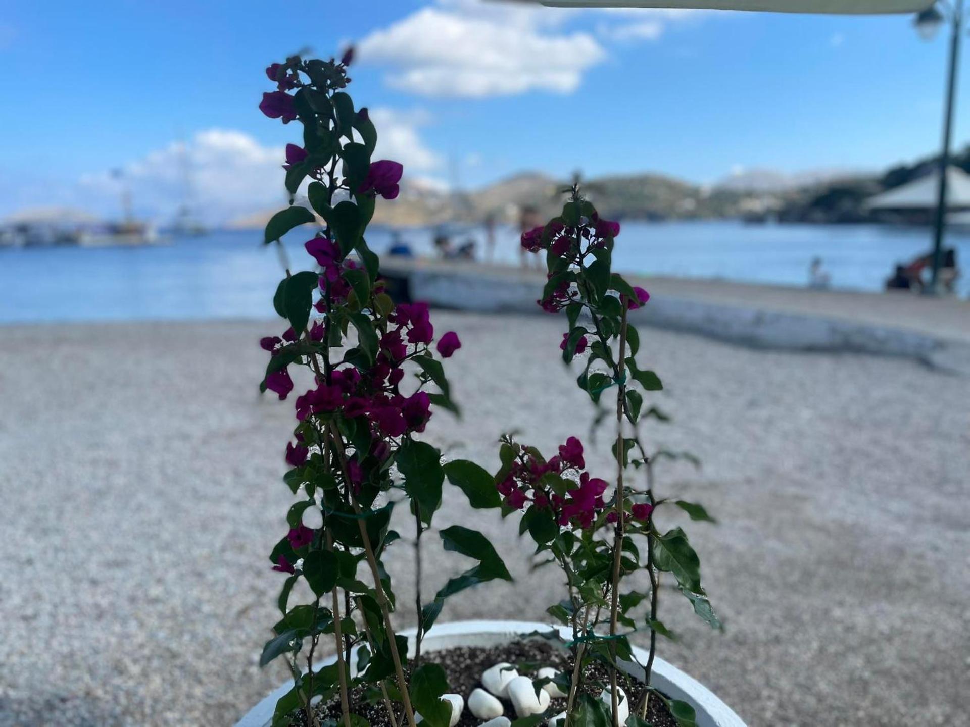 Ονειρόπετρα Λέρος~Oneiropetra Leros