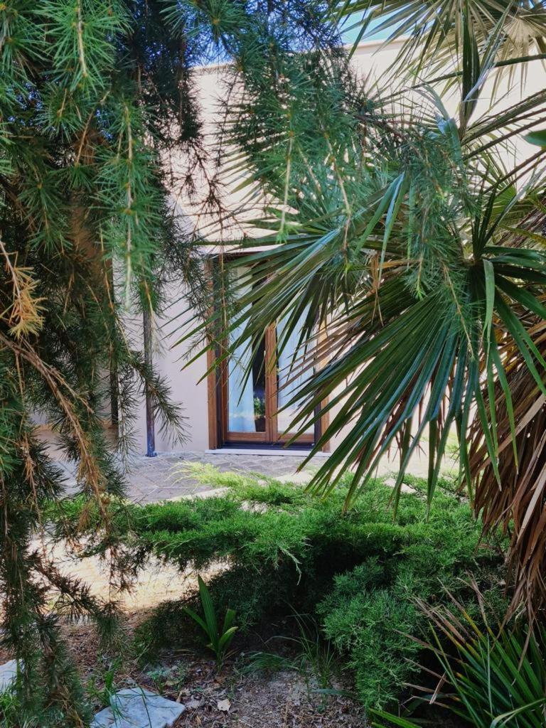 La Casetta in Collina - a pochi Km dal mare (Pe)