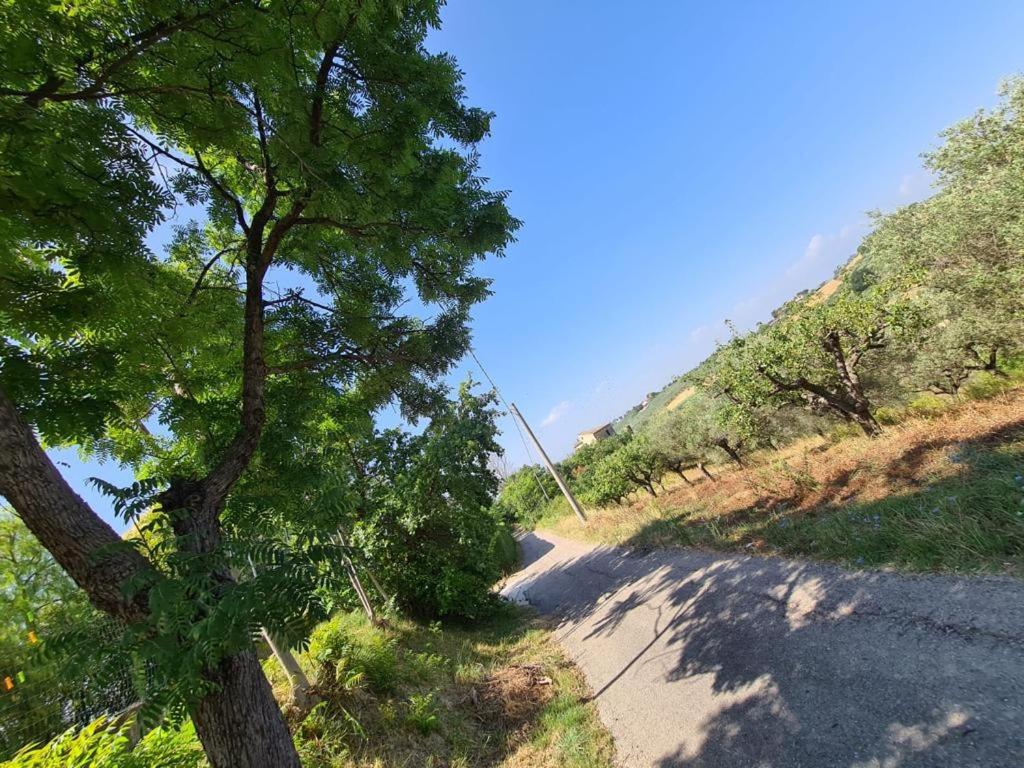 La Casetta in Collina - a pochi Km dal mare (Pe)
