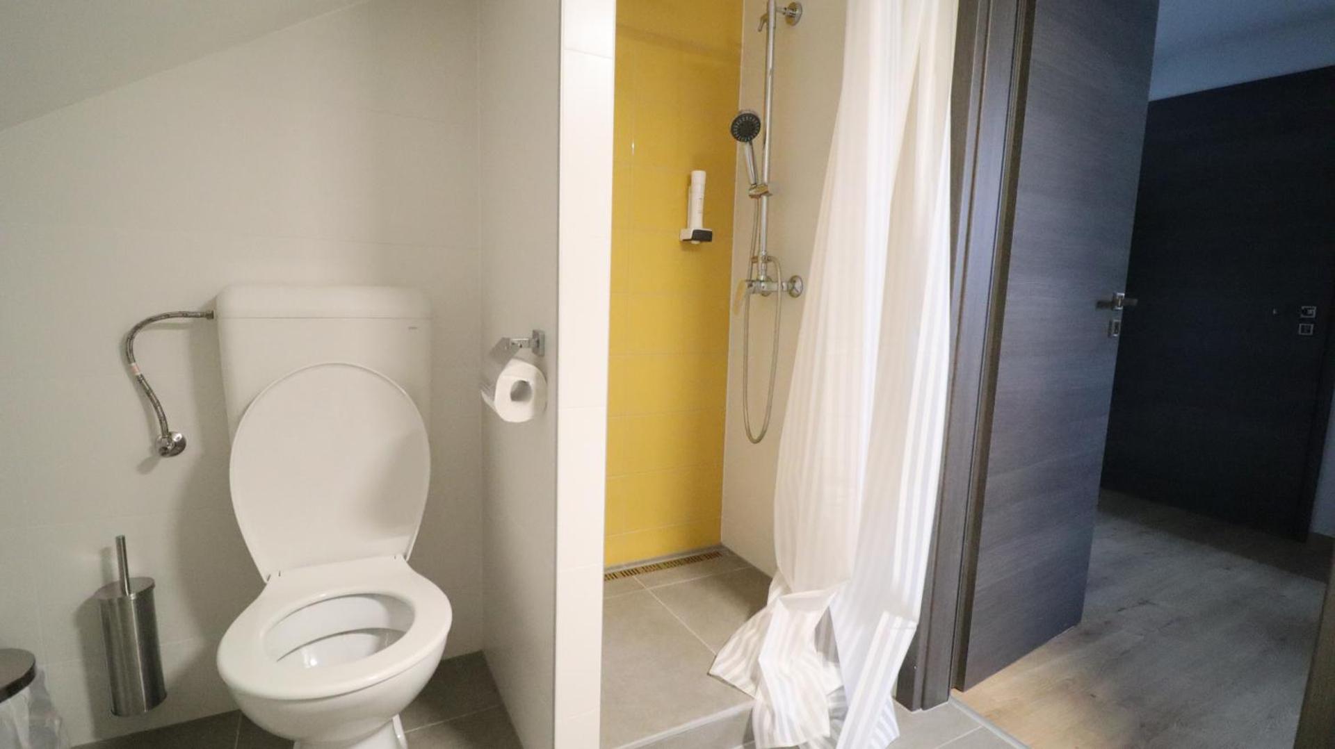 Driepersoonskamer met Eigen Badkamer