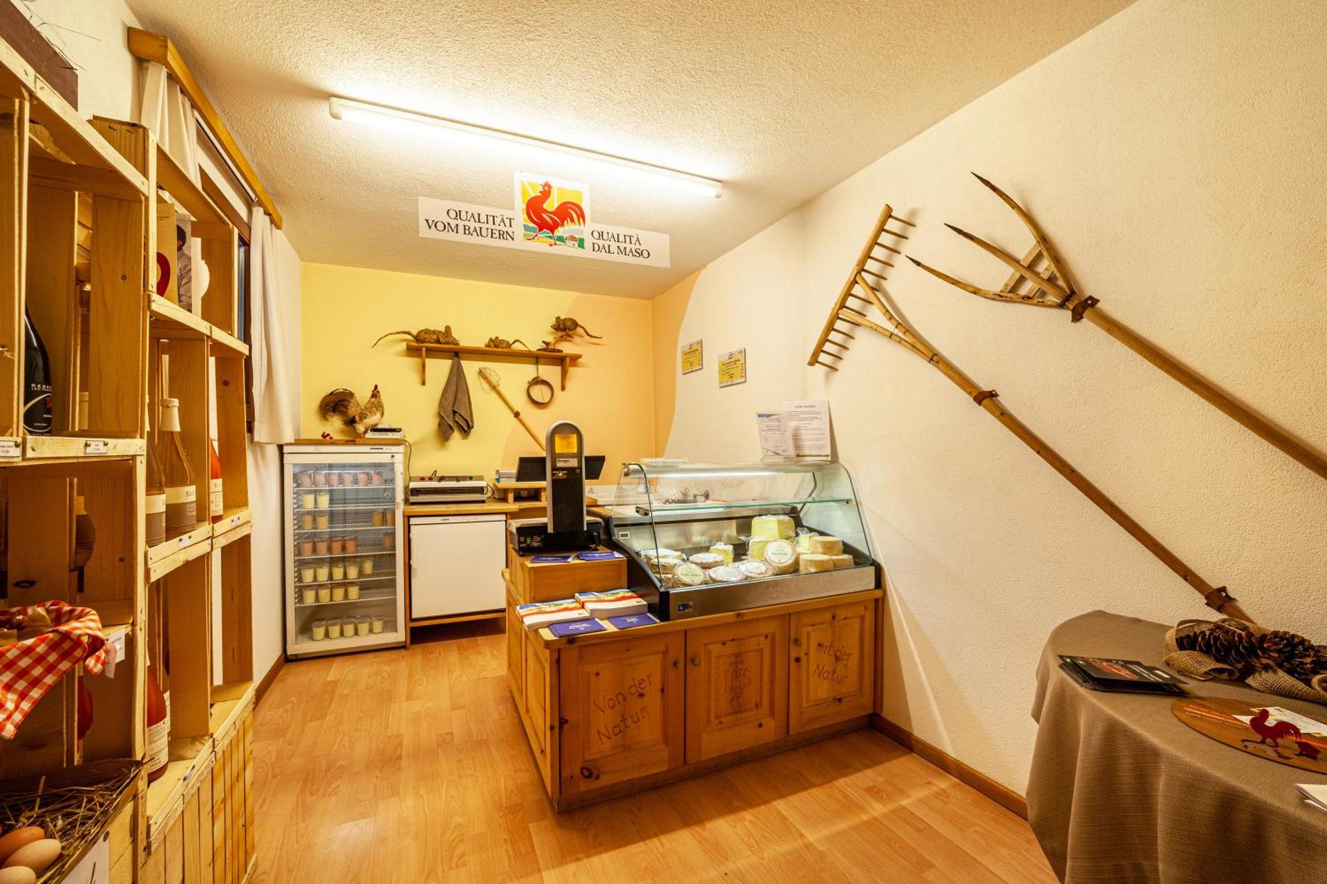 Rieglhof Apartment Geiernest