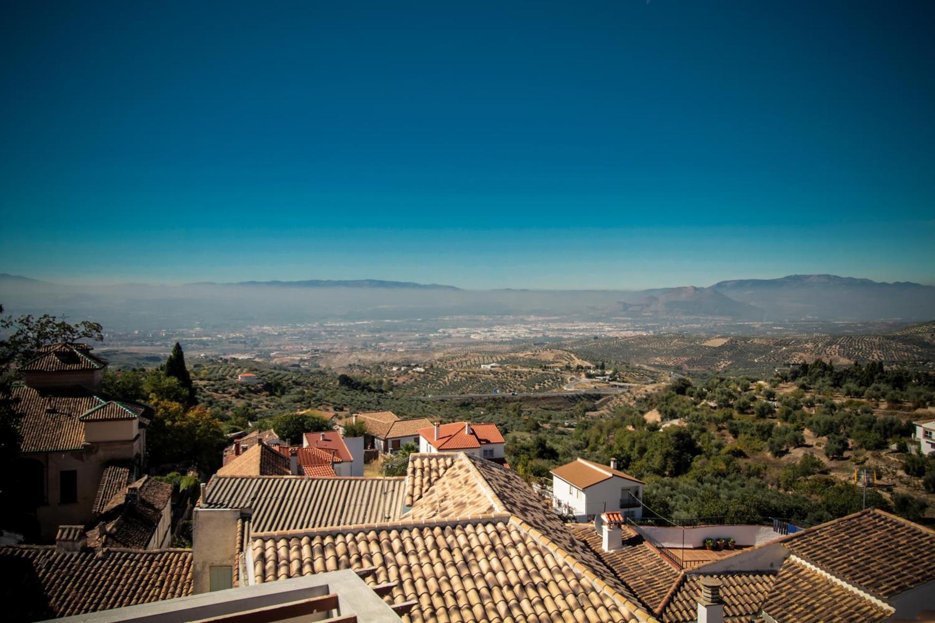 View (from property/room)