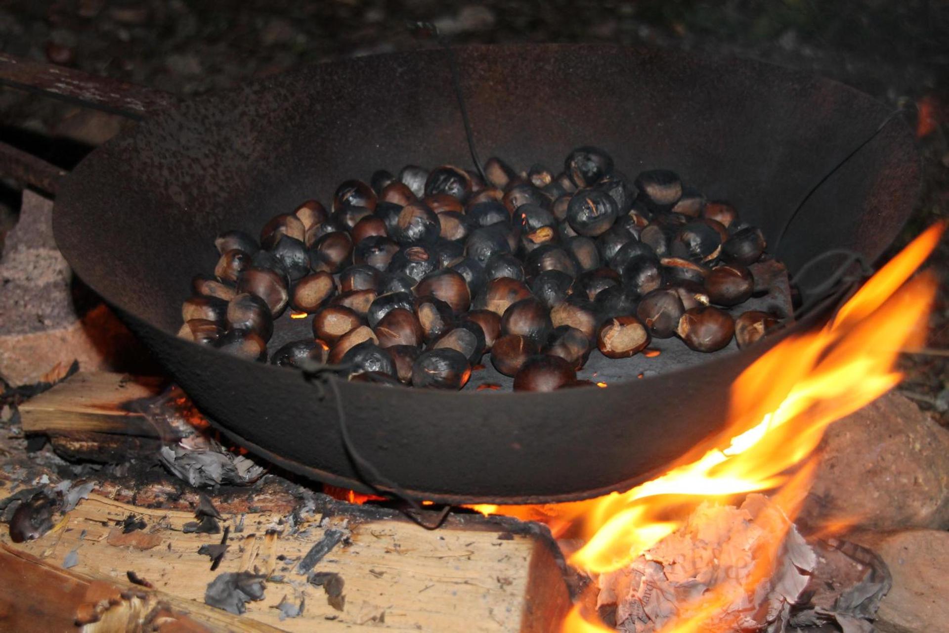 Eichernhof Apartment Marillenblüte