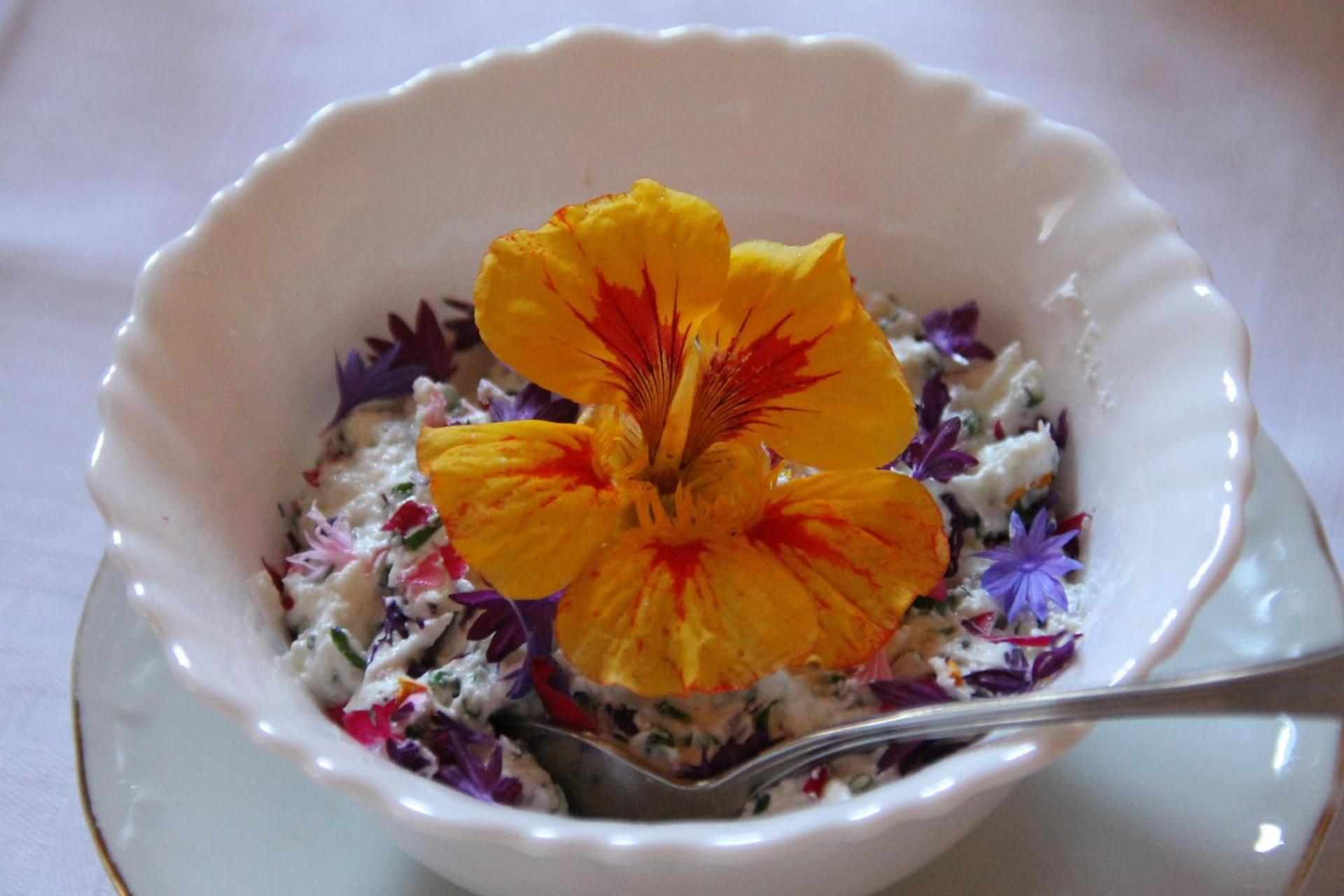 Eichernhof Apartment Marillenblüte