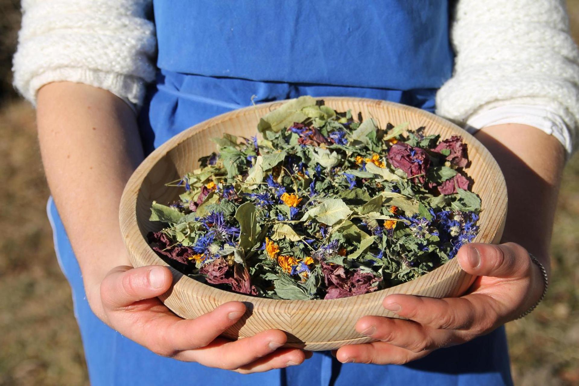 Eichernhof Apartment Marillenblüte