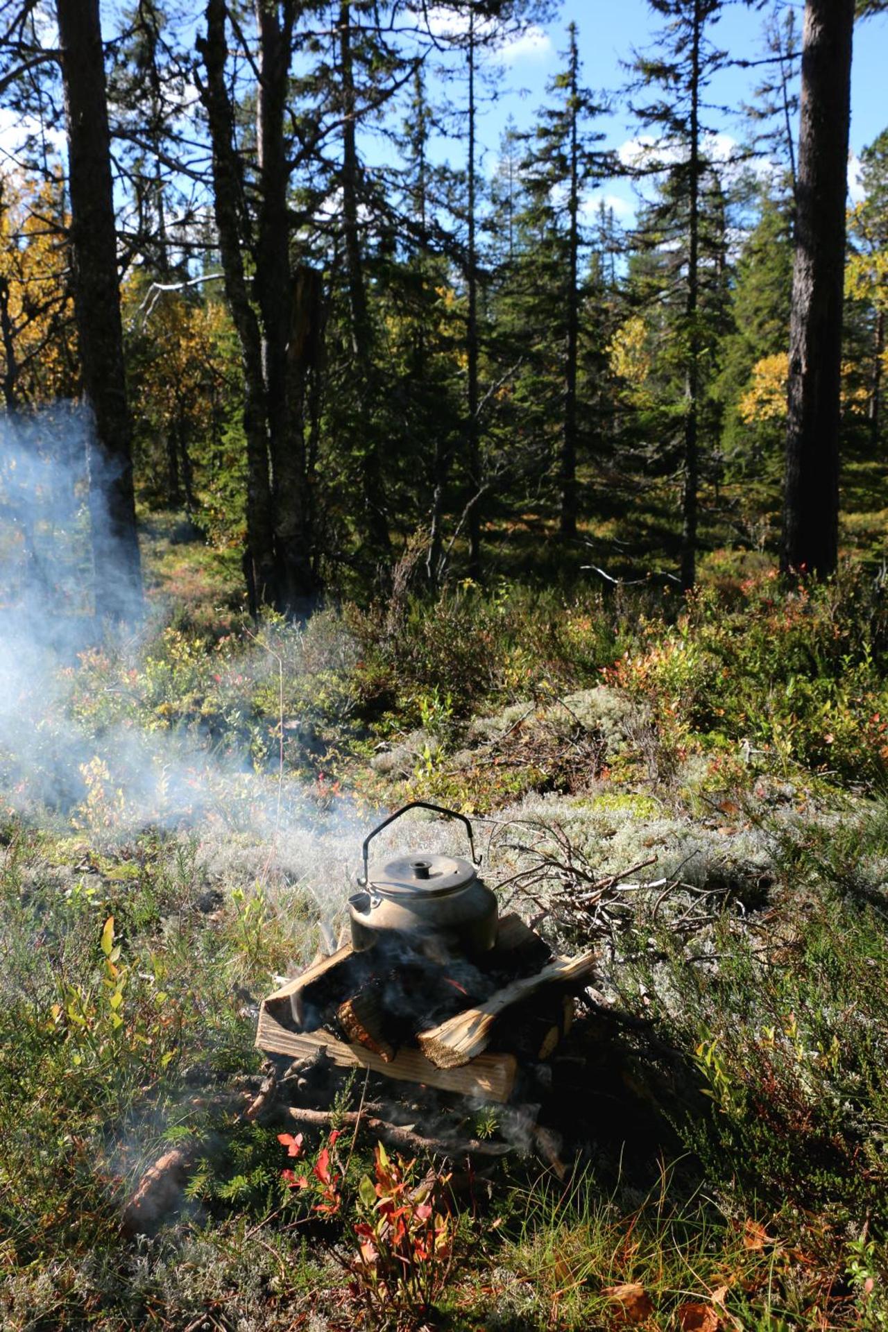 Åsengården Boende & Gästgiveri