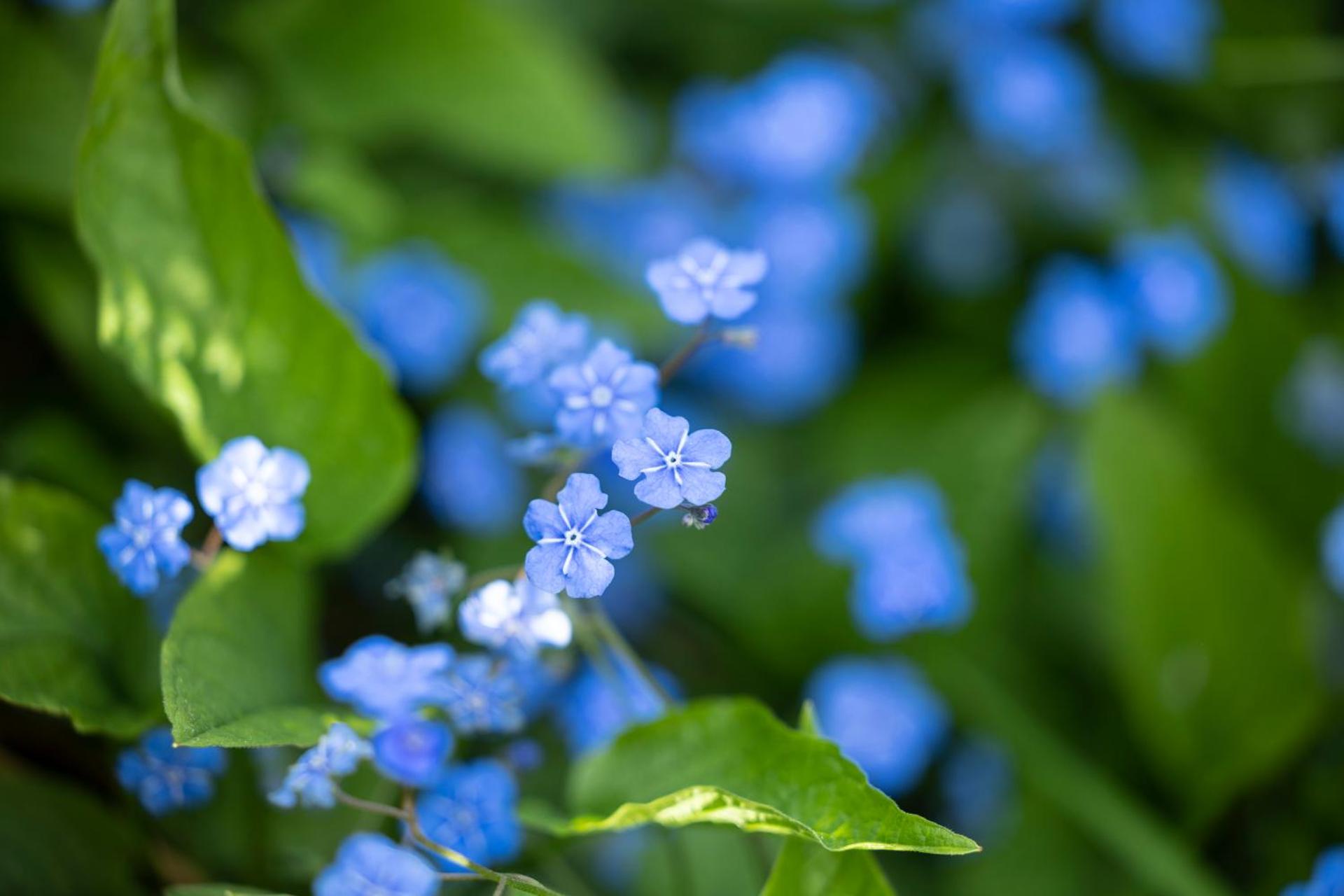 Åsengården Boende & Gästgiveri