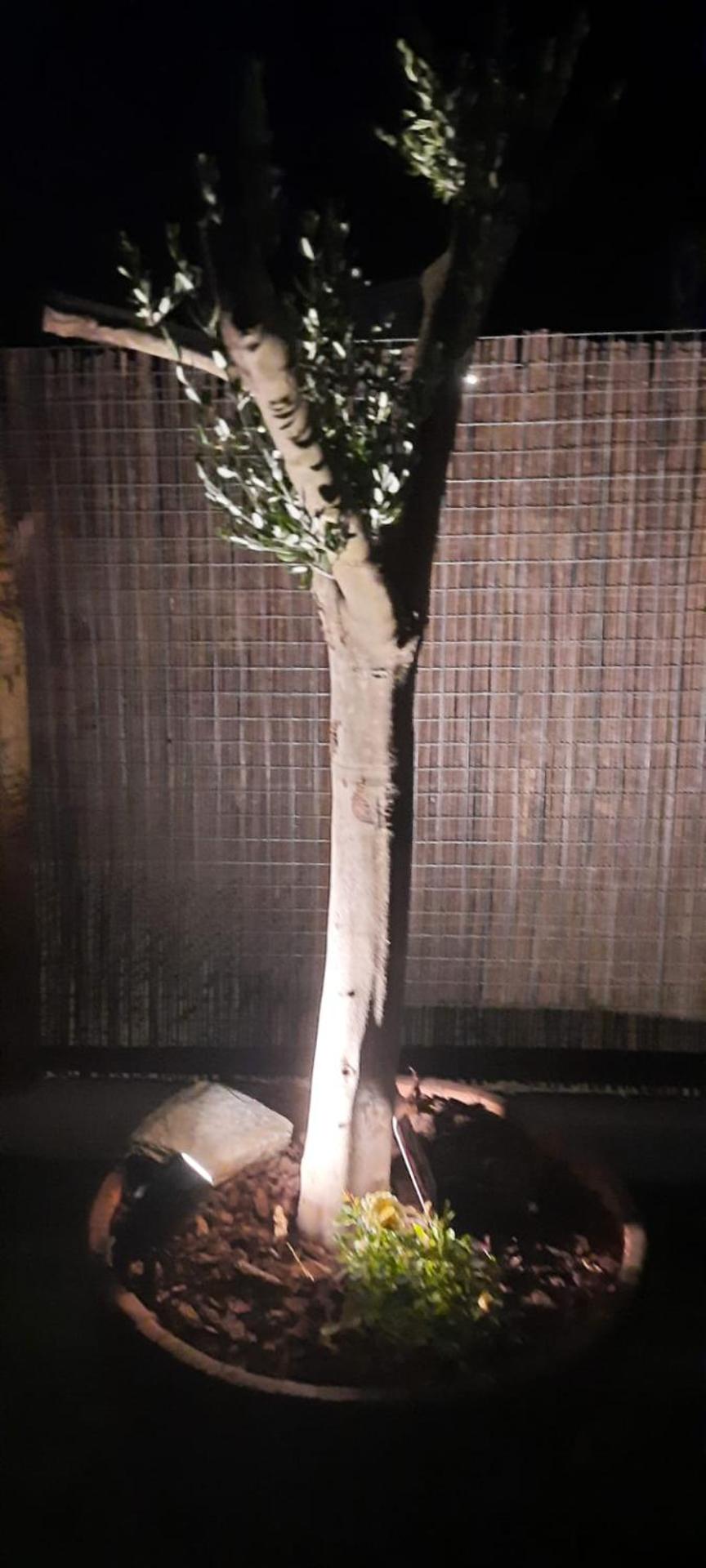 Sunrise Monsaraz Blue - Casa com 2 quartos Jardim