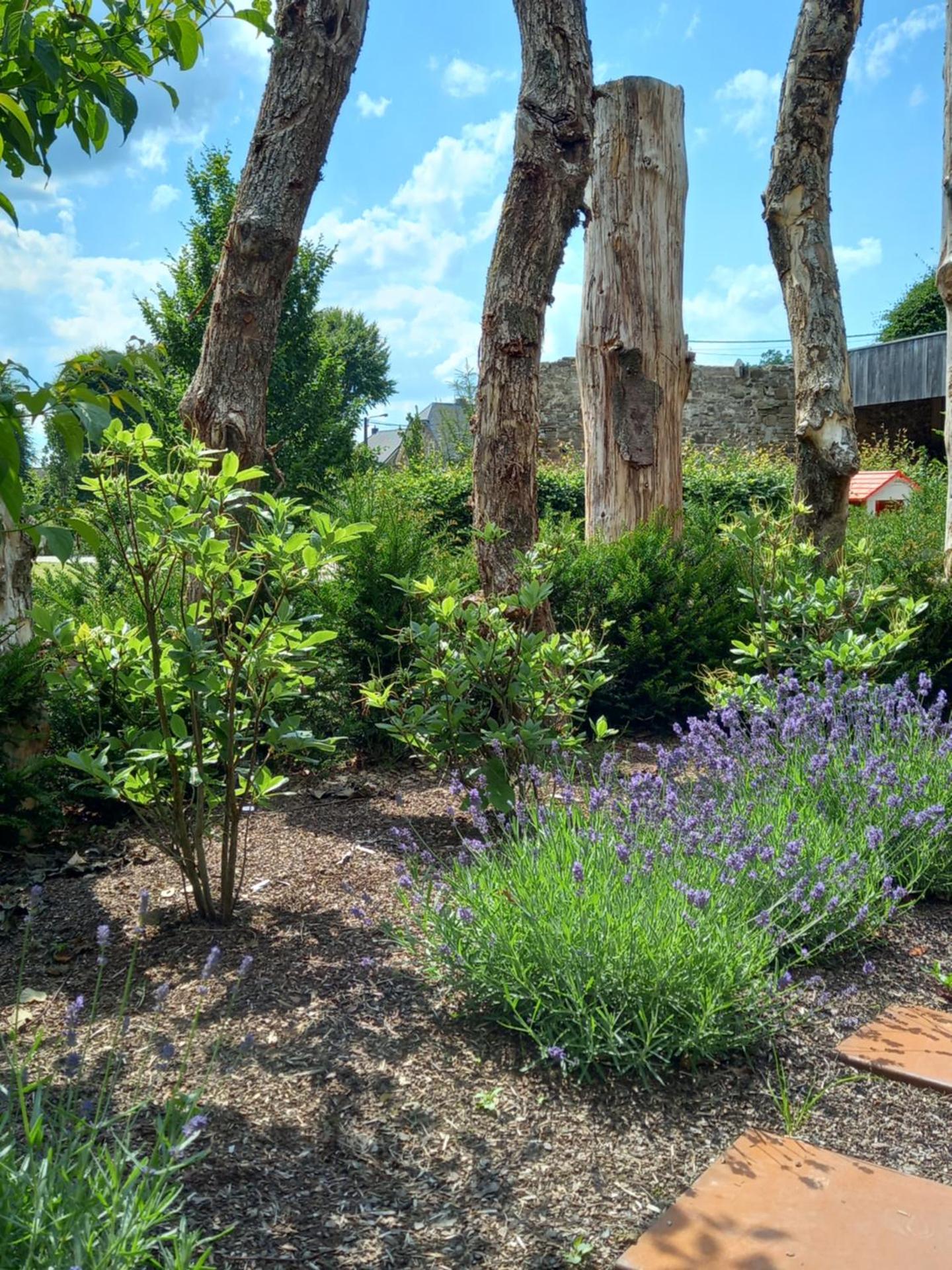 Le jardin des fagnes