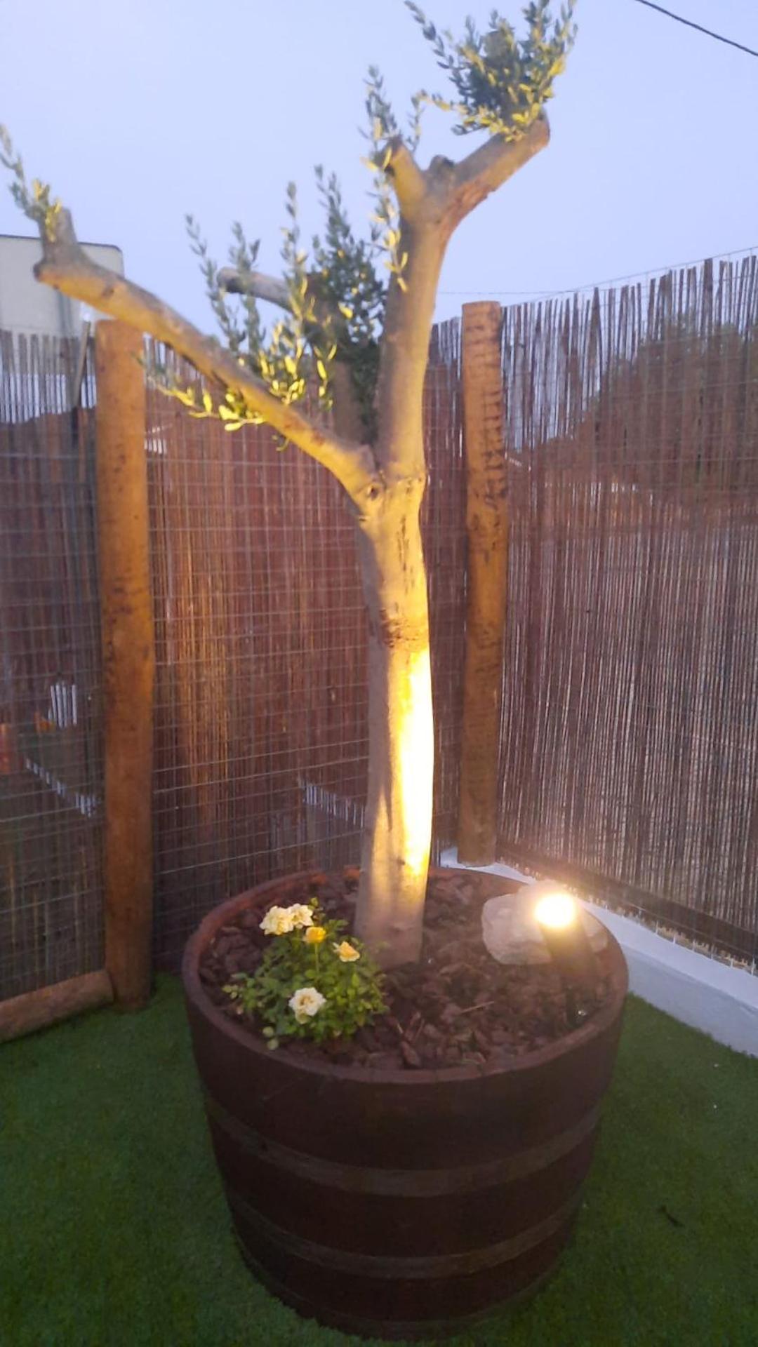 Sunrise Monsaraz Blue - Casa com 2 quartos Jardim