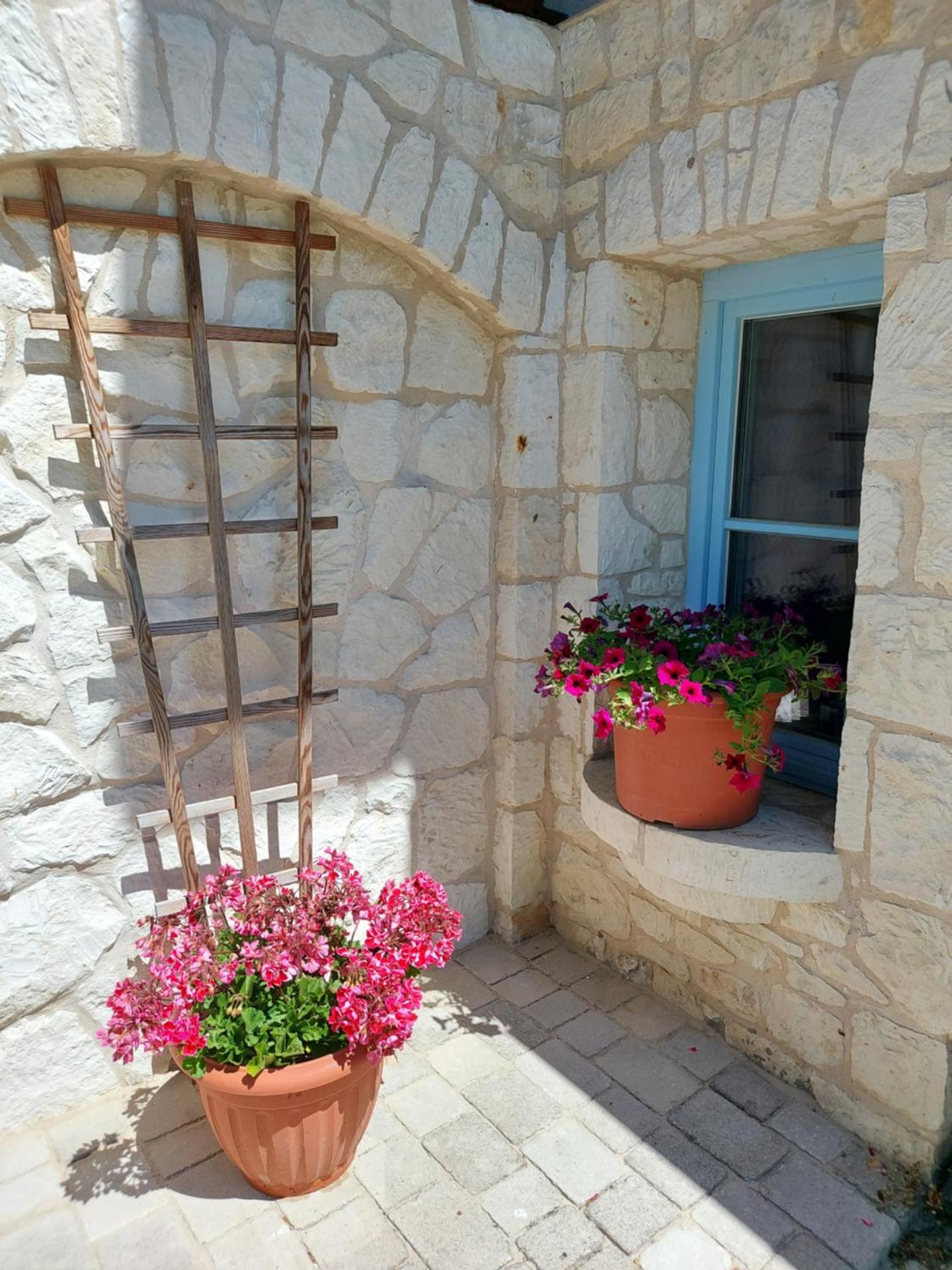 Biały Dom Kazimierski