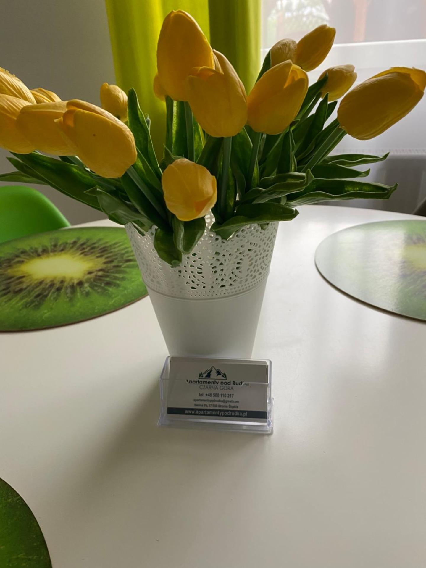 Apartamenty Pod Rudką Czarna Góra