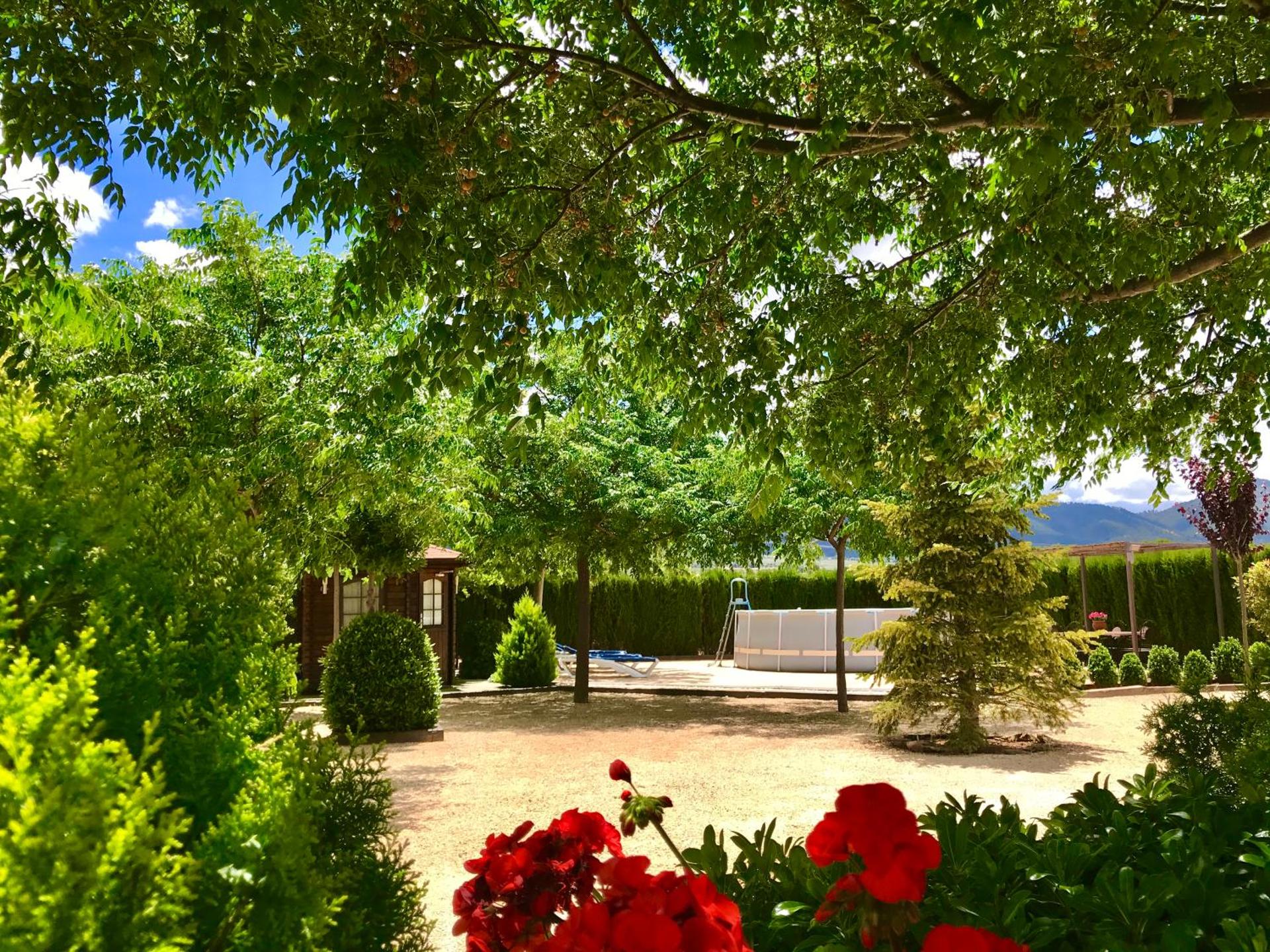 View (from property/room)