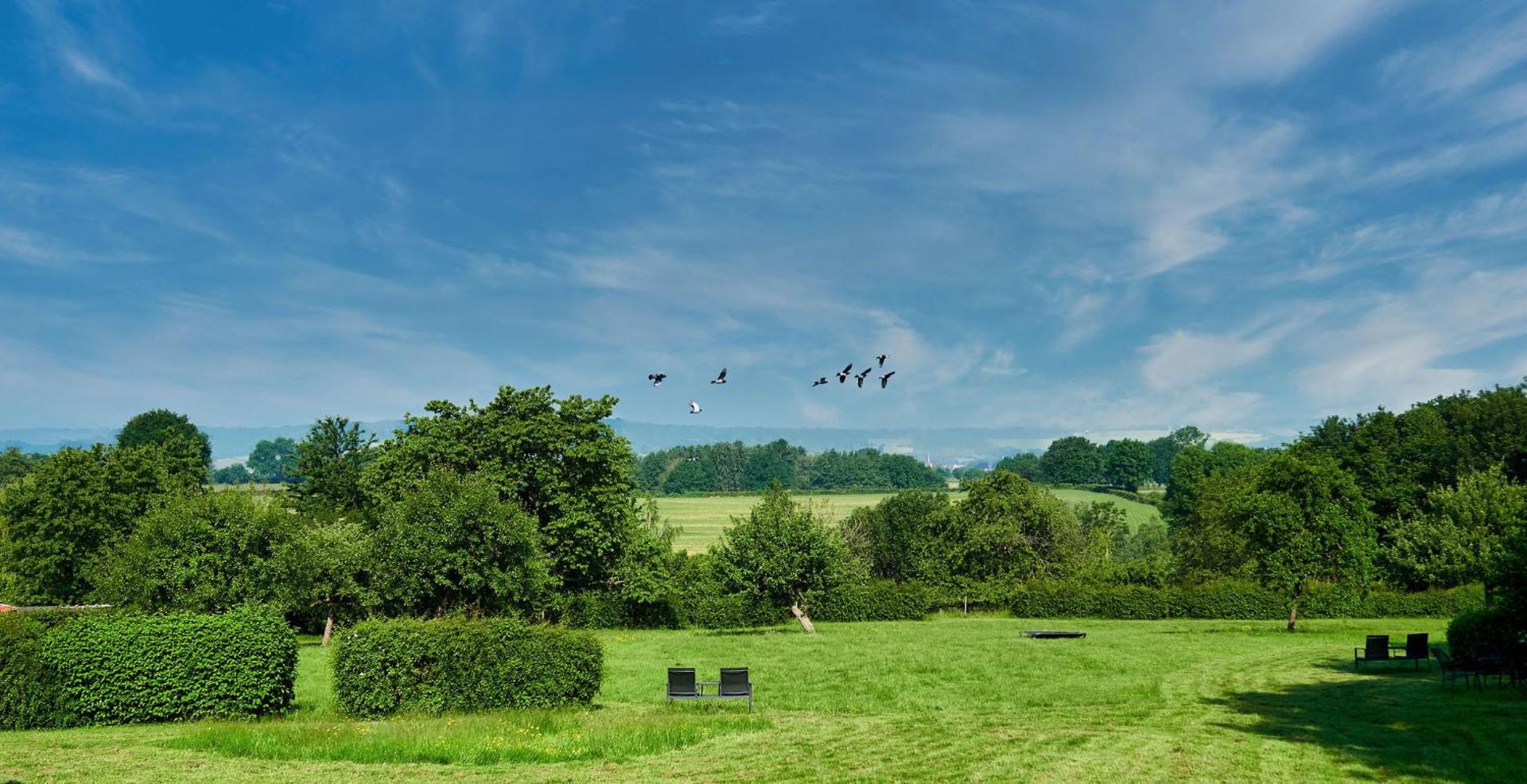 Mooiste plek heuvelland in Zuid-Limburg-De Wijngaard