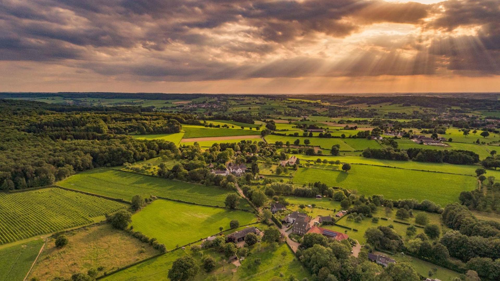 Mooiste plek heuvelland in Zuid-Limburg-De Wijngaard