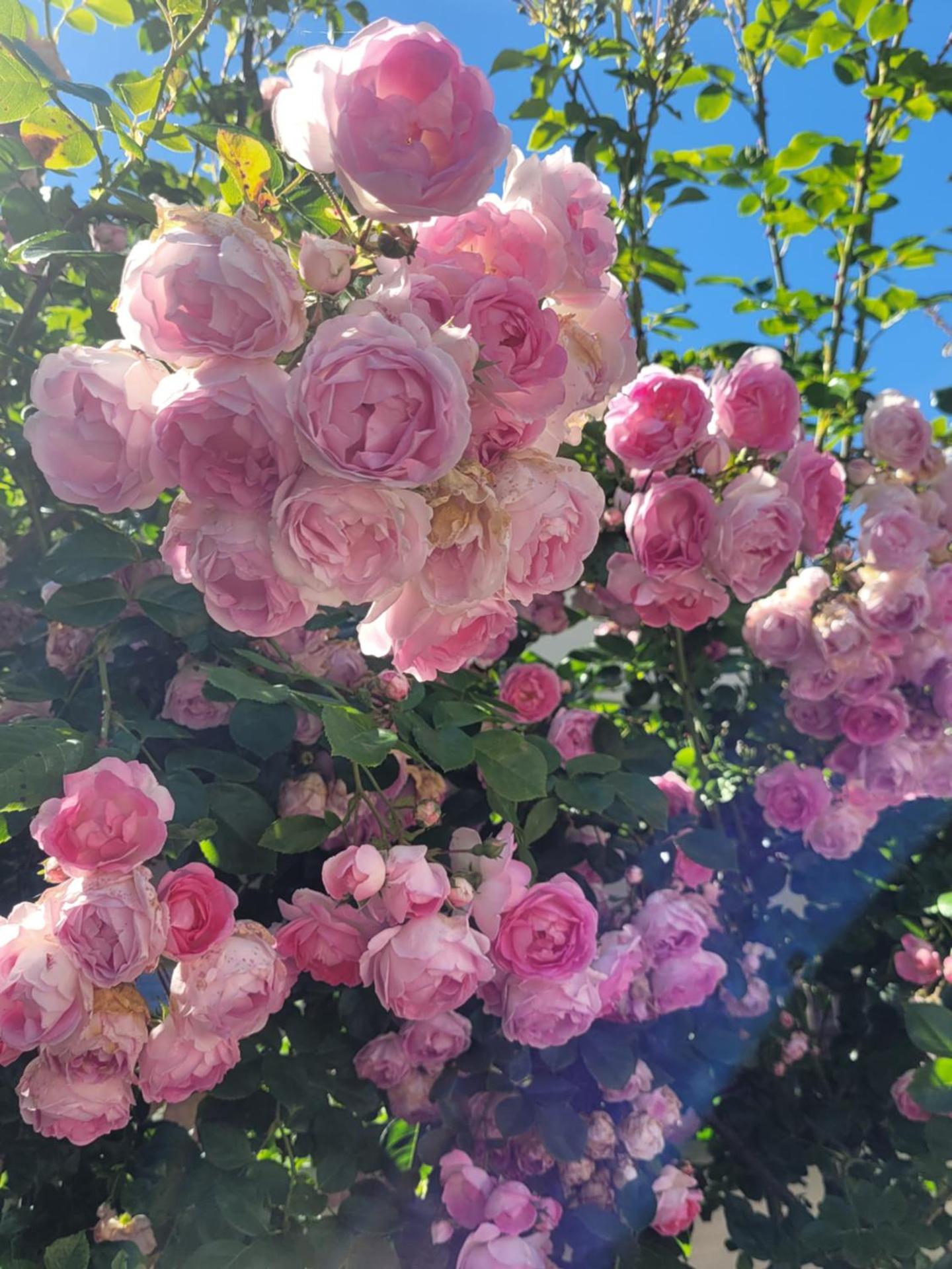 Ferienwohnung Meeresbrise