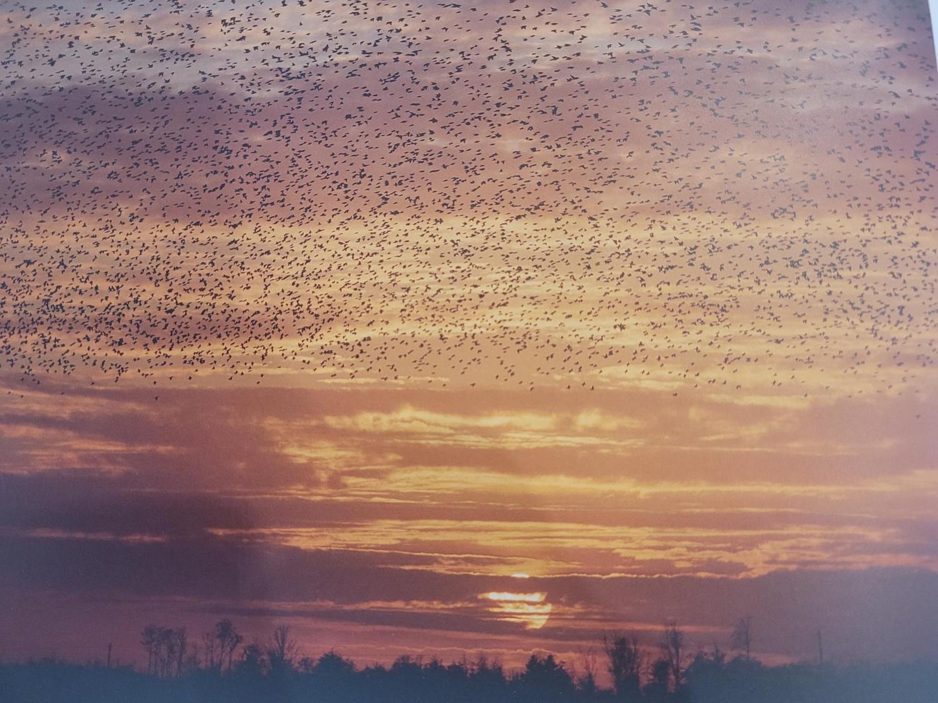 Ferienwohnung Meeresbrise