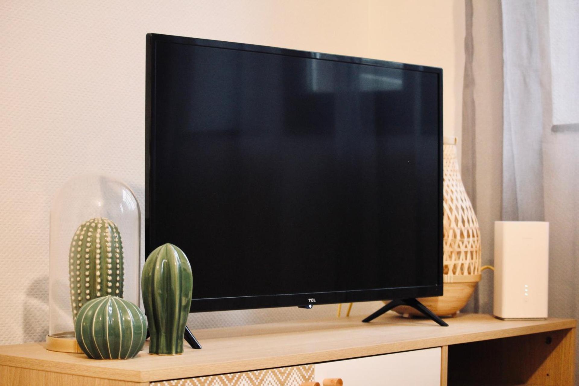 NEW Le Cocon Des Humanistes