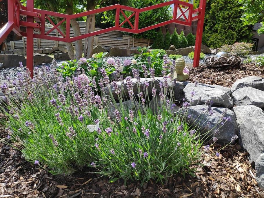 Das Hideaway zum Seele baumeln lassen !