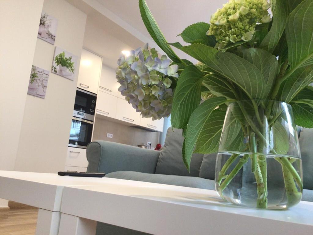 HyP - Esquina Primavera