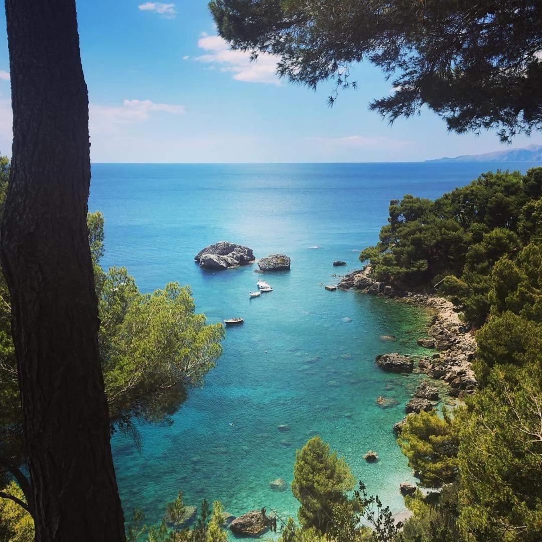 Suite MARA & Suite TEA