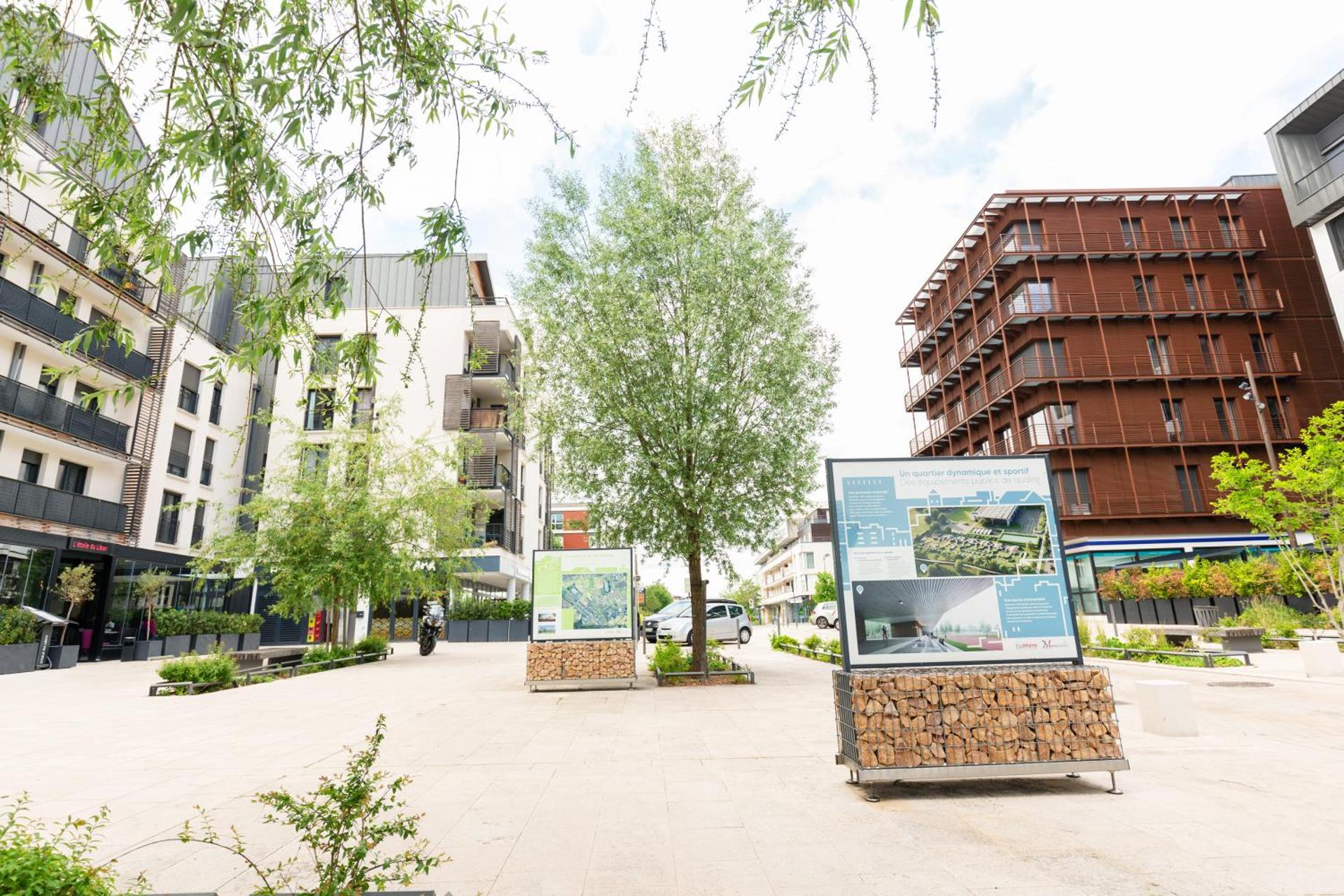 Grand studio Disney, queen size, coffee, WIFI